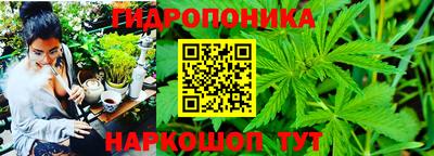 mdpv Славянск-на-Кубани