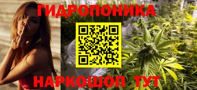 PSILOCYBIN Сланцы