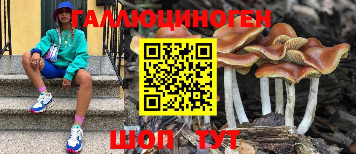 Псилоцибиновые грибы Psilocybe  Вход с VPN  Галлюциногенные грибы Cubensis  Новошахтинск 