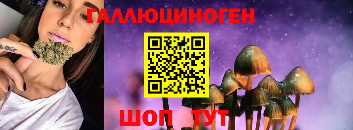 Псилоцибиновые грибы GOLDEN TEACHER Новошахтинск
